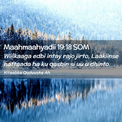 Picture 02 - Maahmaahyadii 19:18 SOM - Wiilkaaga edbi intay rajo jirto, Laakiinse - Bible Verse Picture