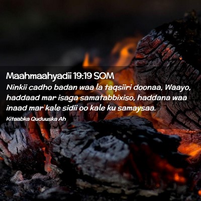 Picture 02 - Maahmaahyadii 19:19 SOM - Ninkii cadho badan waa la taqsiiri doonaa, Waayo, - Bible Verse Picture