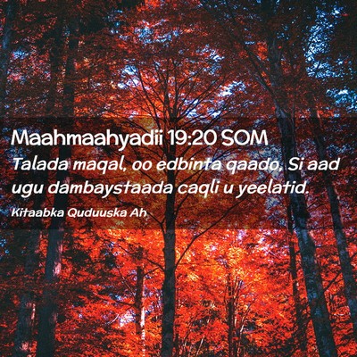 Picture 02 - Maahmaahyadii 19:20 SOM - Talada maqal, oo edbinta qaado, Si aad ugu - Bible Verse Picture