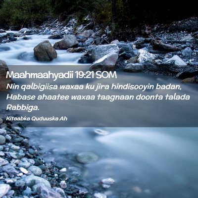 Picture 02 - Maahmaahyadii 19:21 SOM - Nin qalbigiisa waxaa ku jira hindisooyin badan, - Bible Verse Picture