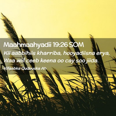 Picture 02 - Maahmaahyadii 19:26 SOM - Kii aabbihiis kharriba, hooyadiisna erya, Waa - Bible Verse Picture