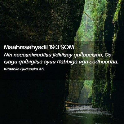 Picture 02 - Maahmaahyadii 19:3 SOM - Nin nacasnimadiisu jidkiisay qalloocisaa, Oo - Bible Verse Picture