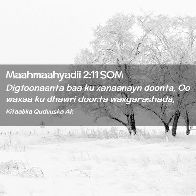 Picture 02 - Maahmaahyadii 2:11 SOM - Digtoonaanta baa ku xanaanayn doonta, Oo waxaa ku - Bible Verse Picture