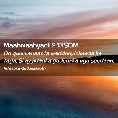 Picture 02 - Maahmaahyadii 2:13 SOM - Oo qummanaanta waddooyinkeeda ka taga, Si ay - Bible Verse Picture