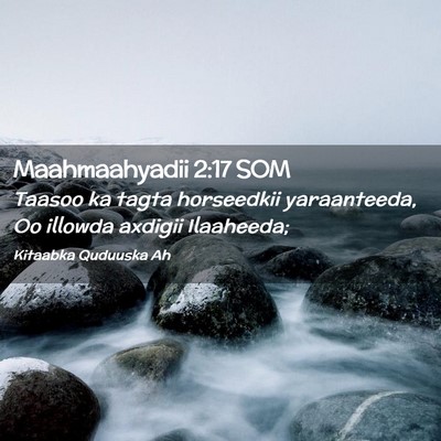 Picture 02 - Maahmaahyadii 2:17 SOM - Taasoo ka tagta horseedkii yaraanteeda, Oo - Bible Verse Picture
