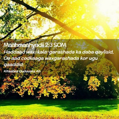 Picture 02 - Maahmaahyadii 2:3 SOM - Haddaad wax-kala-garashada ka daba qaylisid, Oo - Bible Verse Picture