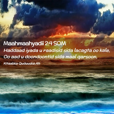 Picture 02 - Maahmaahyadii 2:4 SOM - Haddaad iyada u raadisid sida lacagta oo kale, Oo - Bible Verse Picture