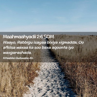 Picture 02 - Maahmaahyadii 2:6 SOM - Waayo, Rabbigu isagaa bixiya xigmadda, Oo afkiisa - Bible Verse Picture