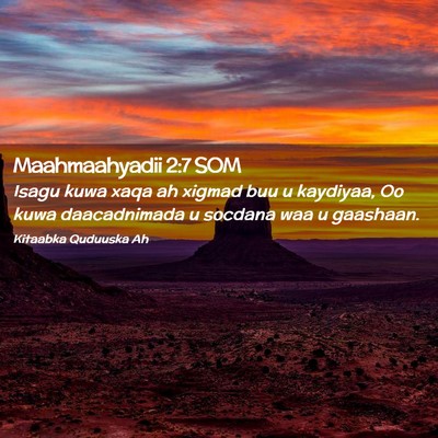 Picture 02 - Maahmaahyadii 2:7 SOM - Isagu kuwa xaqa ah xigmad buu u kaydiyaa, Oo kuwa - Bible Verse Picture