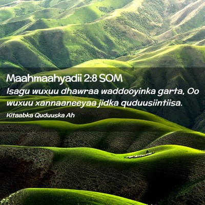 Picture 02 - Maahmaahyadii 2:8 SOM - Isagu wuxuu dhawraa waddooyinka garta, Oo wuxuu - Bible Verse Picture