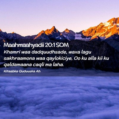 Picture 02 - Maahmaahyadii 20:1 SOM - Khamri waa dadquudhsade, waxa lagu sakhraamona - Bible Verse Picture
