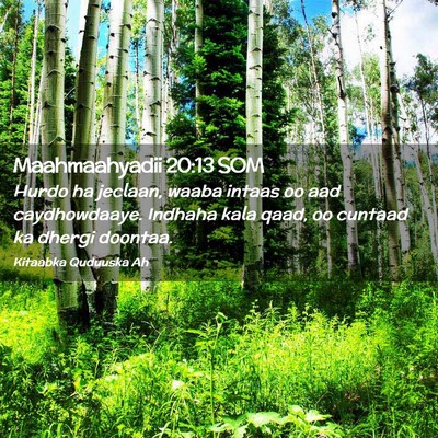 Picture 02 - Maahmaahyadii 20:13 SOM - Hurdo ha jeclaan, waaba intaas oo aad - Bible Verse Picture