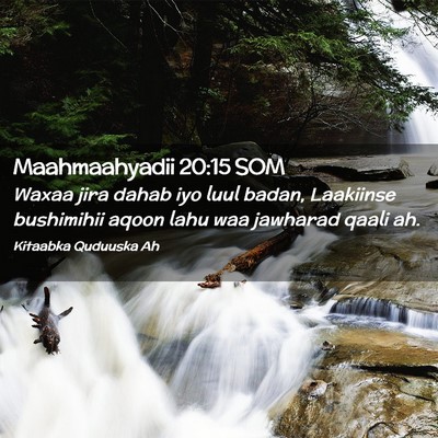 Picture 02 - Maahmaahyadii 20:15 SOM - Waxaa jira dahab iyo luul badan, Laakiinse - Bible Verse Picture