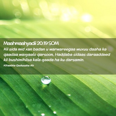 Picture 02 - Maahmaahyadii 20:19 SOM - Kii sida mid xan badan u warwareegaa wuxuu daaha - Bible Verse Picture