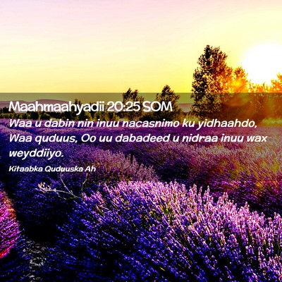 Picture 02 - Maahmaahyadii 20:25 SOM - Waa u dabin nin inuu nacasnimo ku yidhaahdo, Waa - Bible Verse Picture