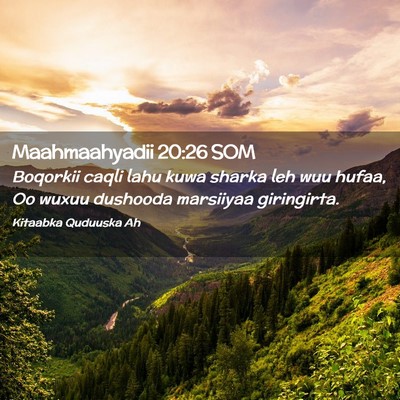 Picture 02 - Maahmaahyadii 20:26 SOM - Boqorkii caqli lahu kuwa sharka leh wuu hufaa, Oo - Bible Verse Picture