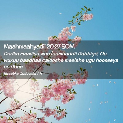 Picture 02 - Maahmaahyadii 20:27 SOM - Dadka ruuxiisu waa laambaddii Rabbiga, Oo wuxuu - Bible Verse Picture