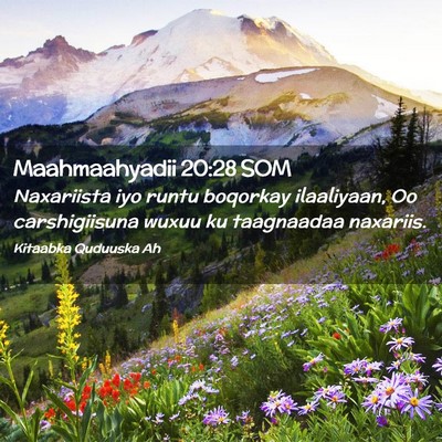 Picture 02 - Maahmaahyadii 20:28 SOM - Naxariista iyo runtu boqorkay ilaaliyaan, Oo - Bible Verse Picture