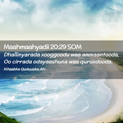 Picture 02 - Maahmaahyadii 20:29 SOM - Dhallinyarada xooggoodu waa ammaantooda, Oo - Bible Verse Picture