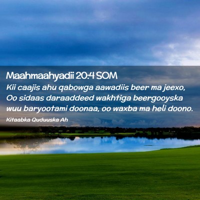 Picture 02 - Maahmaahyadii 20:4 SOM - Kii caajis ahu qabowga aawadiis beer ma jeexo, Oo - Bible Verse Picture