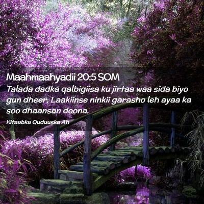 Picture 02 - Maahmaahyadii 20:5 SOM - Talada dadka qalbigiisa ku jirtaa waa sida biyo - Bible Verse Picture