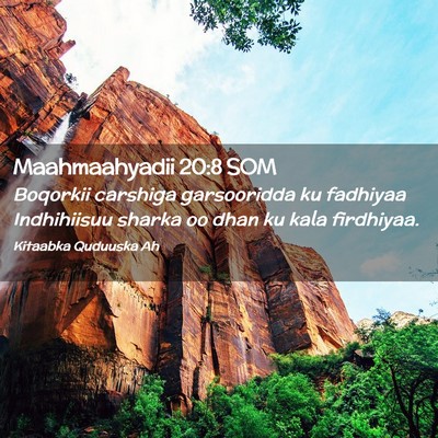 Picture 02 - Maahmaahyadii 20:8 SOM - Boqorkii carshiga garsooridda ku fadhiyaa - Bible Verse Picture