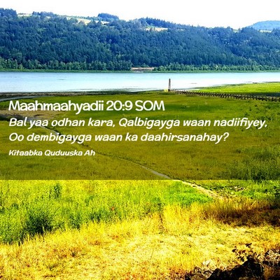 Picture 02 - Maahmaahyadii 20:9 SOM - Bal yaa odhan kara, Qalbigayga waan nadiifiyey, - Bible Verse Picture