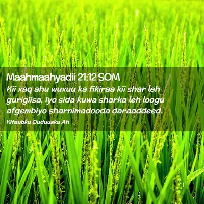 Picture 02 - Maahmaahyadii 21:12 SOM - Kii xaq ahu wuxuu ka fikiraa kii shar leh - Bible Verse Picture