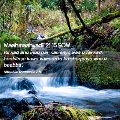 Picture 02 - Maahmaahyadii 21:15 SOM - Kii xaq ahu inuu gar sameeyo waa u farxad, - Bible Verse Picture