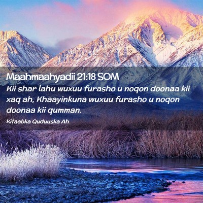 Picture 02 - Maahmaahyadii 21:18 SOM - Kii shar lahu wuxuu furasho u noqon doonaa kii - Bible Verse Picture