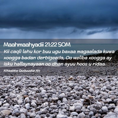 Picture 02 - Maahmaahyadii 21:22 SOM - Kii caqli lahu kor buu ugu baxaa magaalada kuwa - Bible Verse Picture
