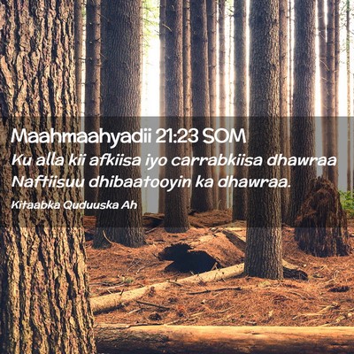 Picture 02 - Maahmaahyadii 21:23 SOM - Ku alla kii afkiisa iyo carrabkiisa dhawraa - Bible Verse Picture