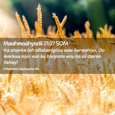 Picture 02 - Maahmaahyadii 21:27 SOM - Ka sharka leh allabarigiisu waa karaahiyo, Oo - Bible Verse Picture