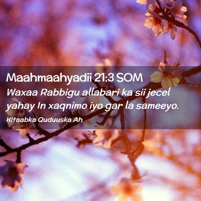 Picture 02 - Maahmaahyadii 21:3 SOM - Waxaa Rabbigu allabari ka sii jecel yahay In - Bible Verse Picture