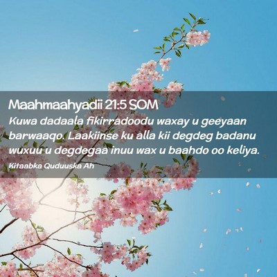 Picture 02 - Maahmaahyadii 21:5 SOM - Kuwa dadaala fikirradoodu waxay u geeyaan - Bible Verse Picture