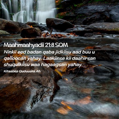 Picture 02 - Maahmaahyadii 21:8 SOM - Ninkii eed badan qaba jidkiisu aad buu u - Bible Verse Picture