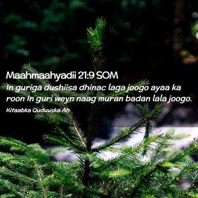 Picture 02 - Maahmaahyadii 21:9 SOM - In guriga dushiisa dhinac laga joogo ayaa ka roon - Bible Verse Picture