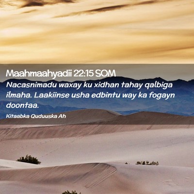 Picture 02 - Maahmaahyadii 22:15 SOM - Nacasnimadu waxay ku xidhan tahay qalbiga ilmaha. - Bible Verse Picture