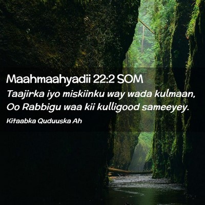 Picture 02 - Maahmaahyadii 22:2 SOM - Taajirka iyo miskiinku way wada kulmaan, Oo - Bible Verse Picture