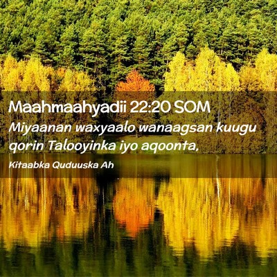 Picture 02 - Maahmaahyadii 22:20 SOM - Miyaanan waxyaalo wanaagsan kuugu qorin - Bible Verse Picture