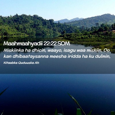 Picture 02 - Maahmaahyadii 22:22 SOM - Miskiinka ha dhicin, waayo, isagu waa miskiin, Oo - Bible Verse Picture