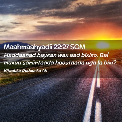 Picture 02 - Maahmaahyadii 22:27 SOM - Haddaanad haysan wax aad bixiso, Bal muxuu - Bible Verse Picture