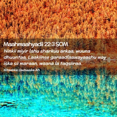 Picture 02 - Maahmaahyadii 22:3 SOM - Ninkii miyir lahu sharkuu arkaa, wuuna dhuuntaa, - Bible Verse Picture