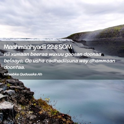 Picture 02 - Maahmaahyadii 22:8 SOM - Kii xumaan beeraa wuxuu goosan doonaa belaayo, Oo - Bible Verse Picture