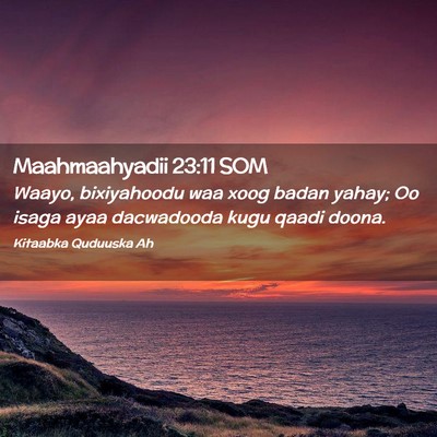 Picture 02 - Maahmaahyadii 23:11 SOM - Waayo, bixiyahoodu waa xoog badan yahay; Oo isaga - Bible Verse Picture
