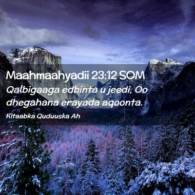 Picture 02 - Maahmaahyadii 23:12 SOM - Qalbigaaga edbinta u jeedi, Oo dhegahana erayada - Bible Verse Picture