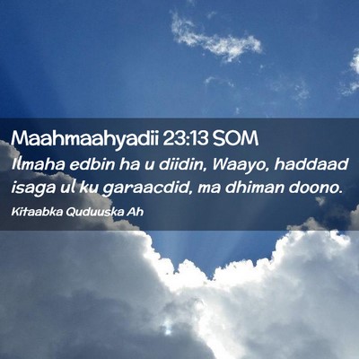 Picture 02 - Maahmaahyadii 23:13 SOM - Ilmaha edbin ha u diidin, Waayo, haddaad isaga ul - Bible Verse Picture