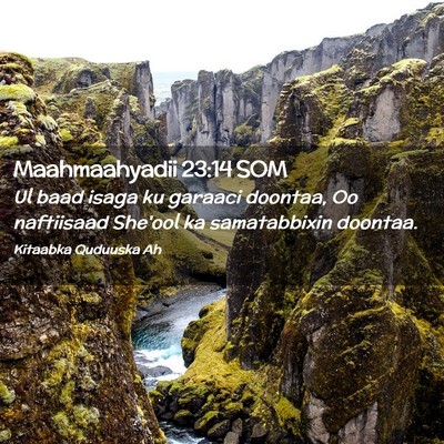 Picture 02 - Maahmaahyadii 23:14 SOM - Ul baad isaga ku garaaci doontaa, Oo naftiisaad - Bible Verse Picture