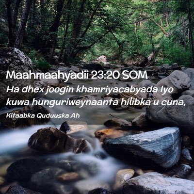 Picture 02 - Maahmaahyadii 23:20 SOM - Ha dhex joogin khamriyacabyada Iyo kuwa - Bible Verse Picture