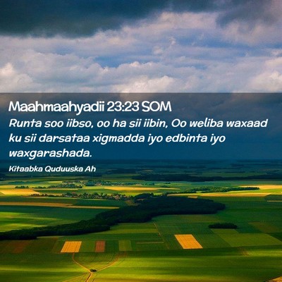 Picture 02 - Maahmaahyadii 23:23 SOM - Runta soo iibso, oo ha sii iibin, Oo weliba - Bible Verse Picture